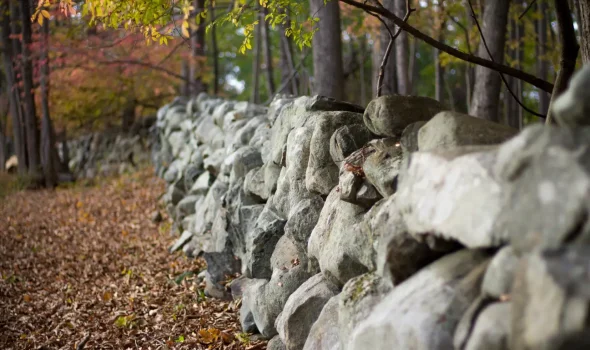 At Retaining Walls Kapiti we plan stone retaining walls with precision